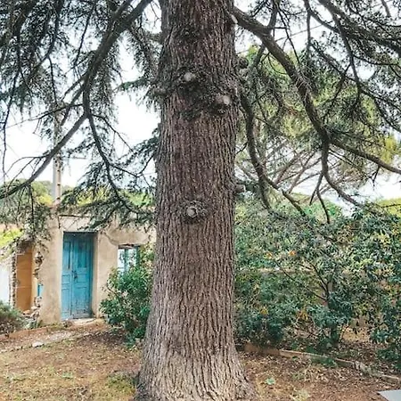 Villa Et Mazet A Proximite Du Centre